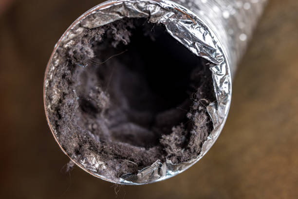 Best Ventilation Cleaning Services  in Cherry Valley, IL
